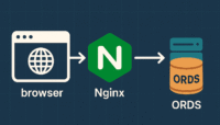 diagram showing the browser connecting to an ORDS server with nginx acting as reverse proxy